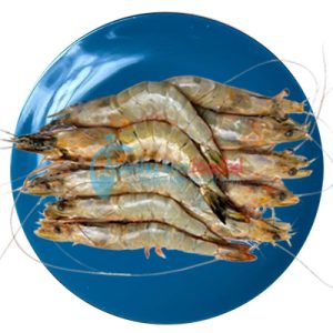 চাকা চিংড়ি ৮/১২ (Head On)